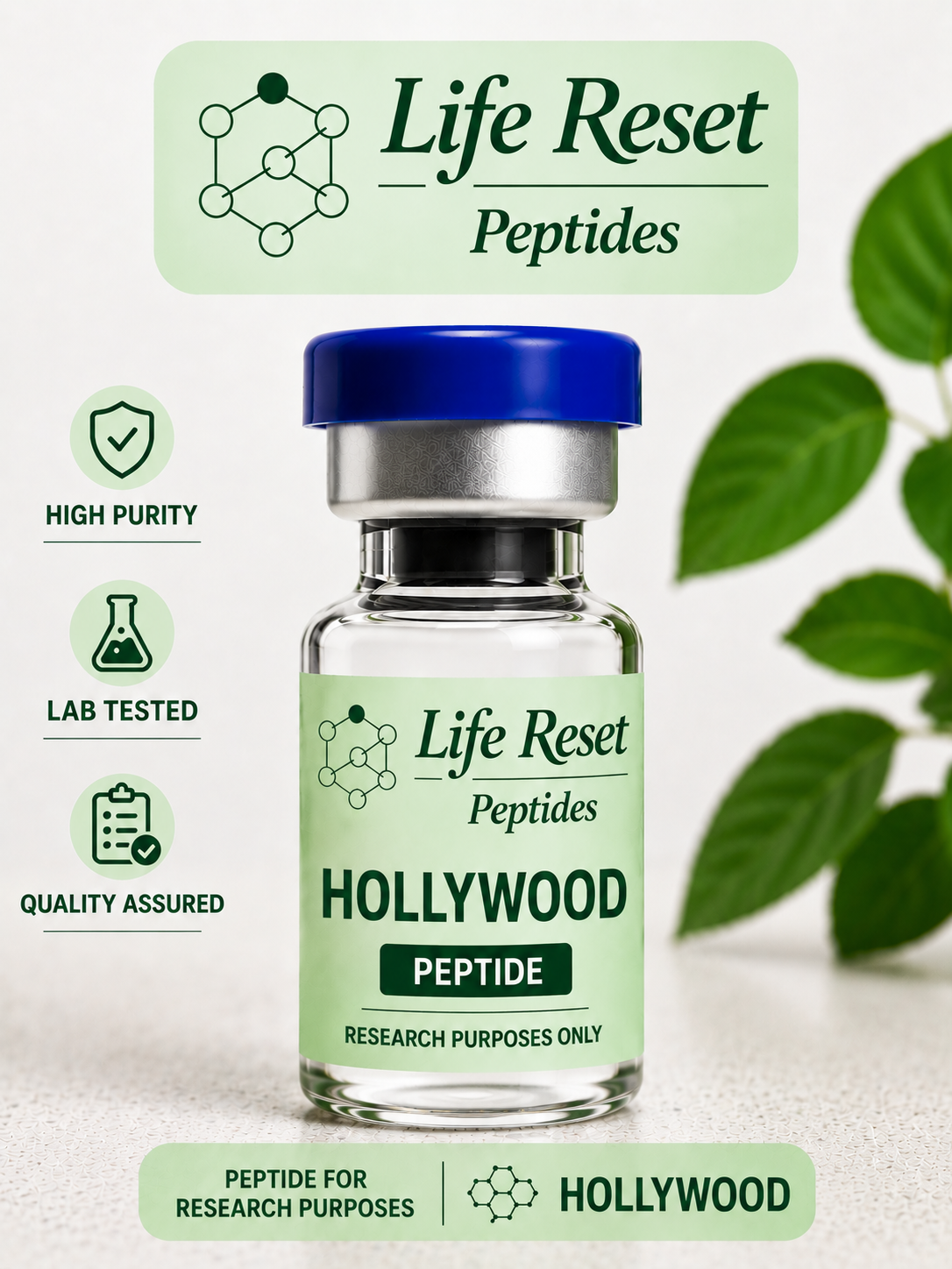 Hollywood Kit